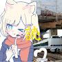 @Yomi-8019