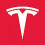 @thebushcapitaltesla3313