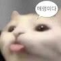 @재밌네-u9g