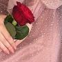 @nasimislamizadeh7330