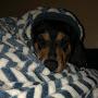 @TravisC.Brown82082
