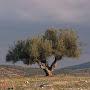 @محمد-م-ك7و