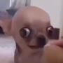 @Its_meeeelol