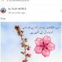 @RiazKhan-wt1eq