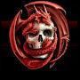 @mahdimousavi5601