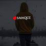 @sadiqameen3734
