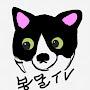 @tv-uy3qn
