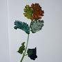 @literally-just-a-leaf