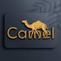 @camelpvcceilingcompany