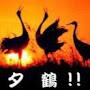 @夕鶴-h2n