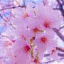 @abhishekghoshal6053