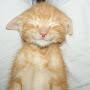@pak_jise.love43