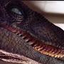@VelociraptorMailbox