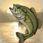 @HMGfishing