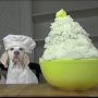 @Mashydawg