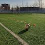@football-lt9tv