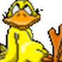 @combatduckie