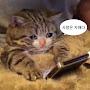 @엄마나시집못가