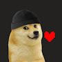 @DogeDetermined