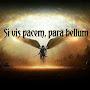 @realsteel8113