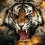 @kinjalkhandelwal1260