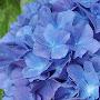 @user-mn8yu1rc9v