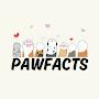 @Paw-faction