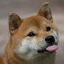@mrdoggo69theepicone15