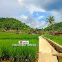 @cipanengahofficial4792