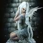 @NIT3STALK3R