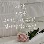 @haenk9846
