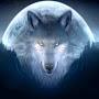 @elitewolf7994