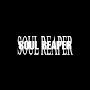 @soulreaper.4x