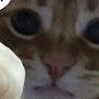 @뛹