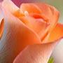 @أممحمد-ه4ث1ن