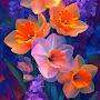 @fadlyaqsa7285