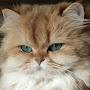 @salihgunaydn3885