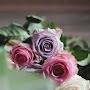 @رضواناللهابوعبدومنبسرطون