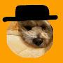@CrispLoafVr