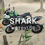 @sharkmotovlog6867