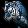 @achyutbhattarai6158