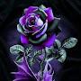 @pattibuchhalter6671