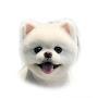 @샤샤의하루