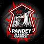 @pro_raj_gamer