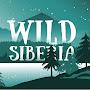 @Wild-Siberia