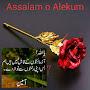 @asgharmuhammad2978