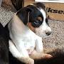 @alekx..henderson3255