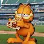 @SundayGarfield