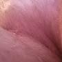 @purple1988