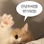 @로능이